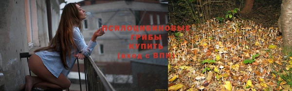 прущие крисы Верхний Тагил