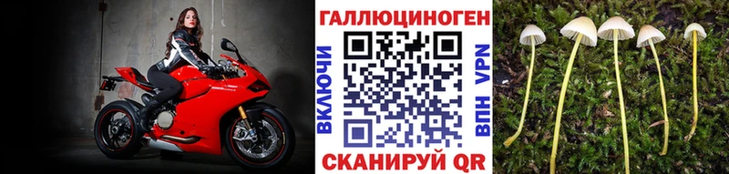 Галлюциногенные грибы мухоморы  Переславль-Залесский 